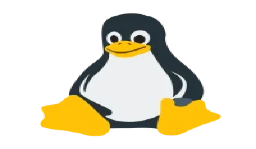 Developer Tools